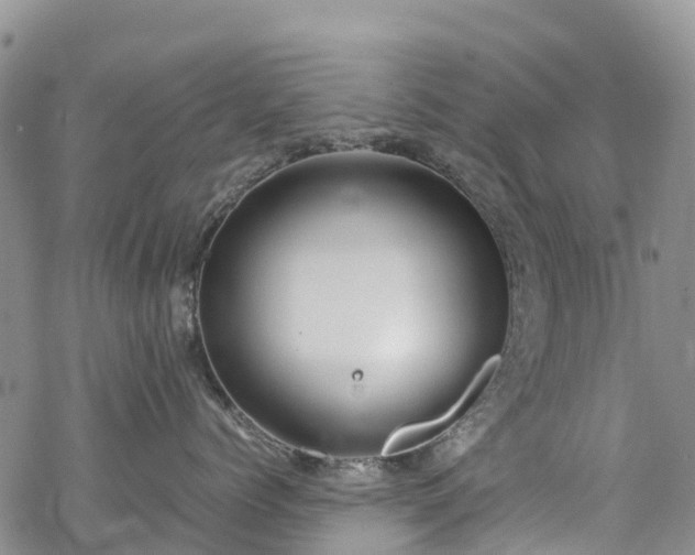 X0000069410768200605192304