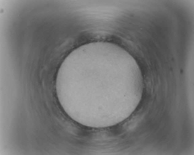 X0000069410769200605192303