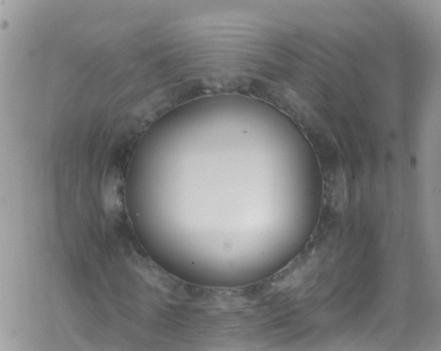 X0000069410770200605192303