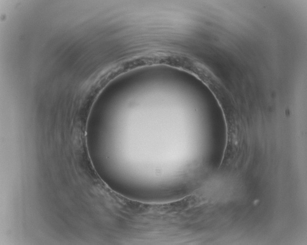 X0000069410773200605192303