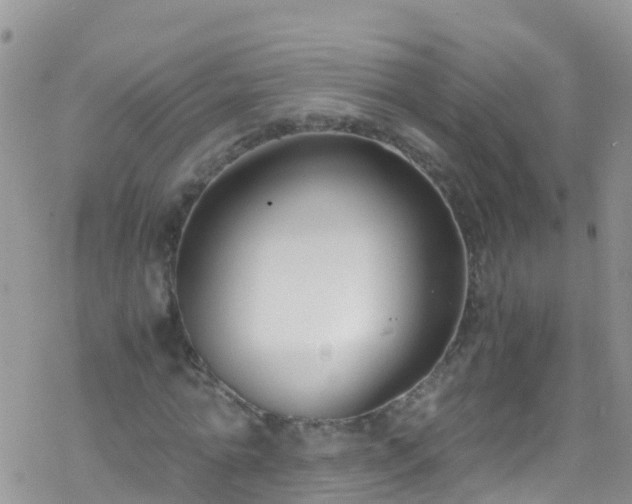 X0000069410774200605192303