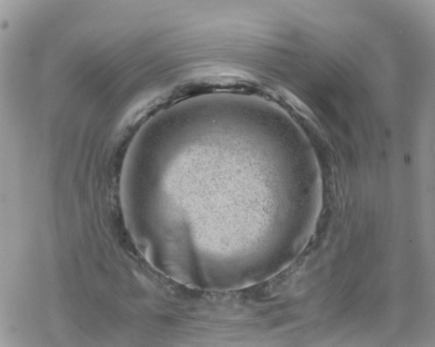 X0000069410775200605192303