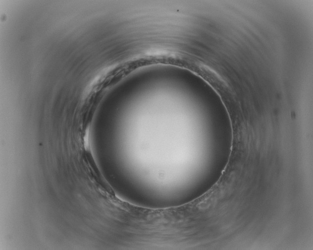 X0000069410776200605192303