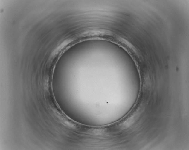 X0000069410778200605192303