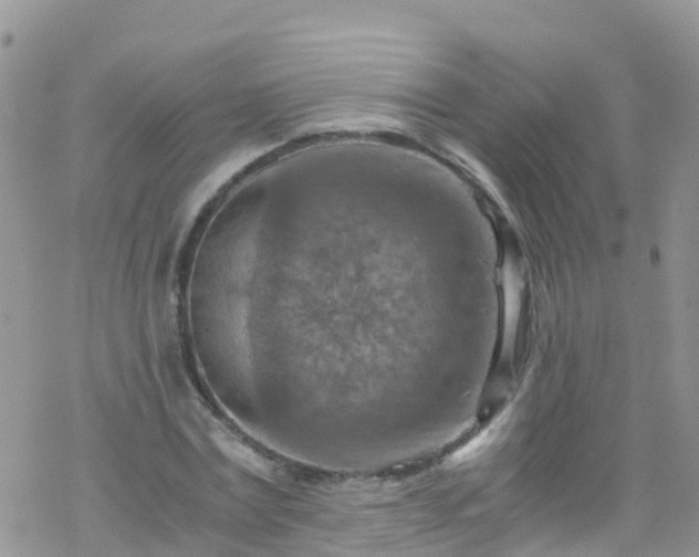 X0000069410779200605192303