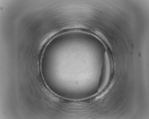 X0000069410781200605192303