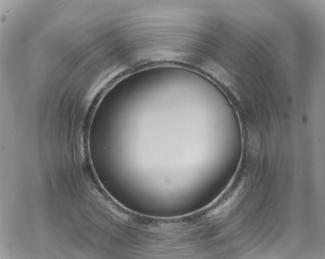 X0000069410782200605192303