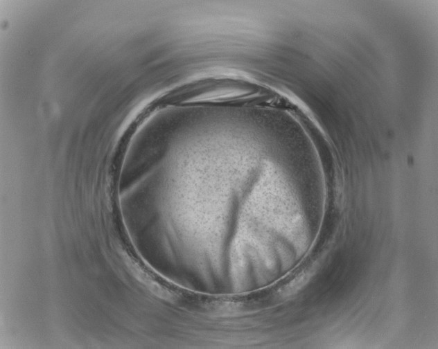 X0000069410783200605192303