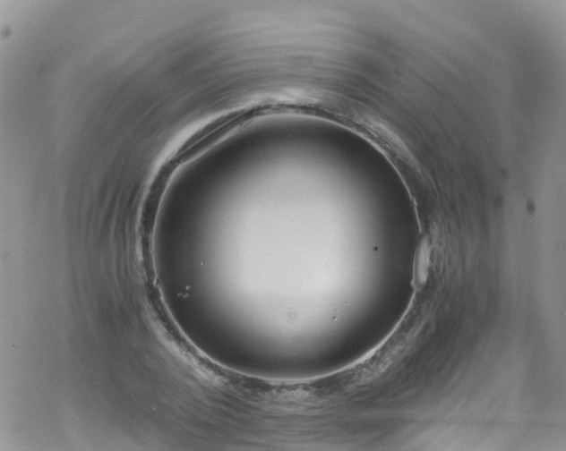 X0000069410784200605192303