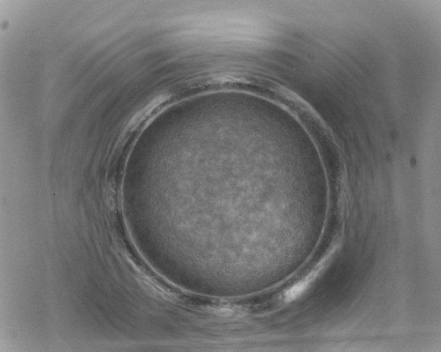 X0000069410785200605192303