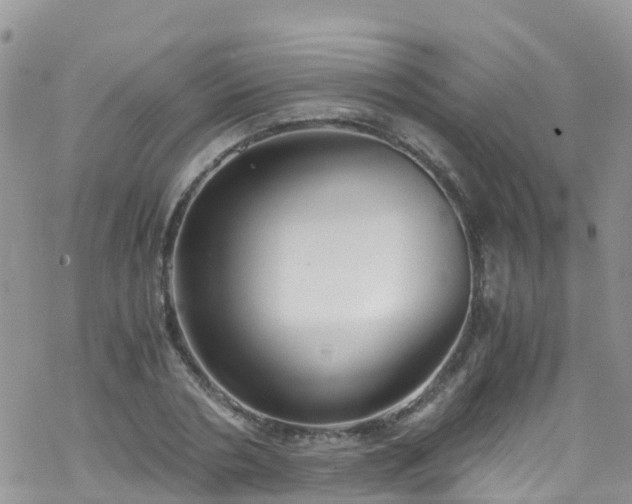 X0000069410786200605192303