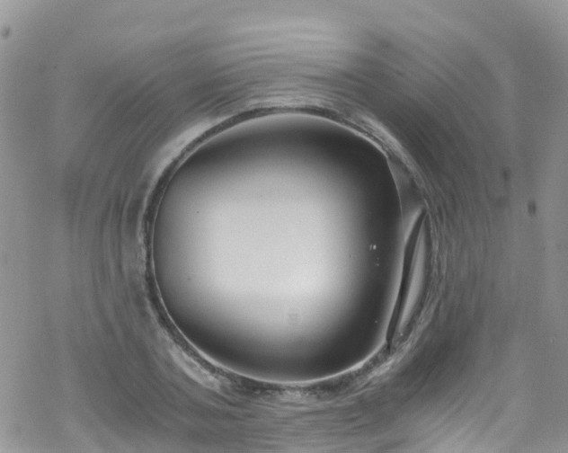 X0000069410787200605192303