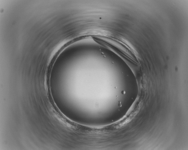 X0000069410788200605192303