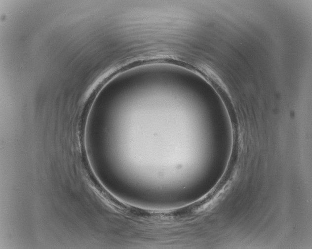 X0000069410789200605192303