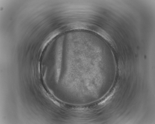 X0000069410790200605192303