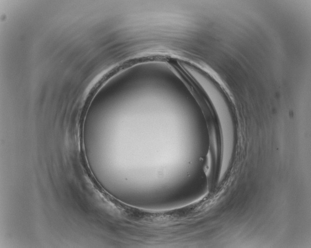 X0000069410791200605192303