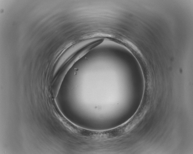 X0000069410793200605192303