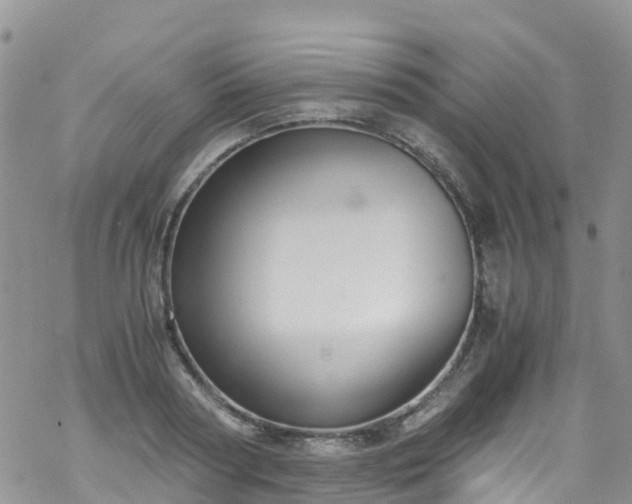 X0000069410794200605192303