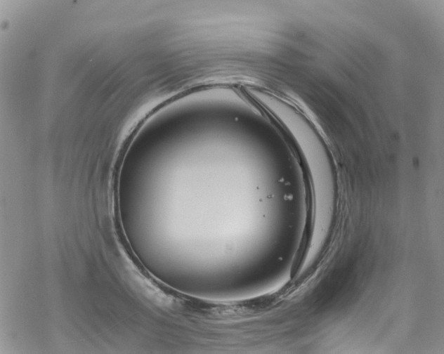 X0000069410795200605192303