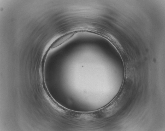 X0000069410796200605192302