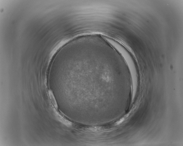 X0000069410797200605192302