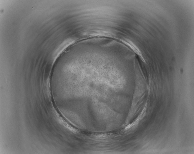 X0000069410798200605192302