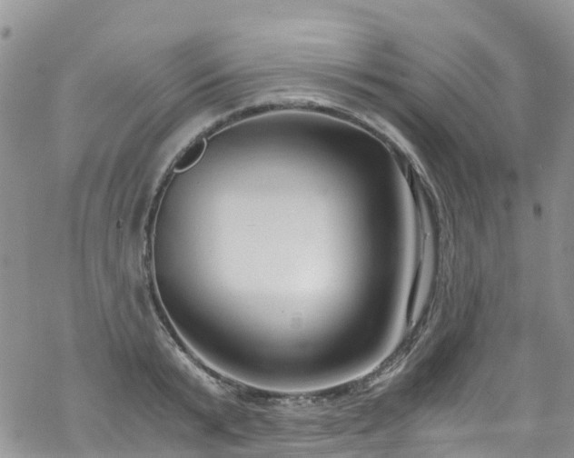 X0000069410799200605192302