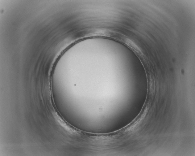 X0000069410800200605192302