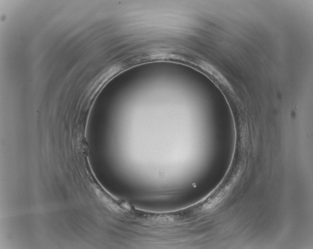 X0000069410801200605192302