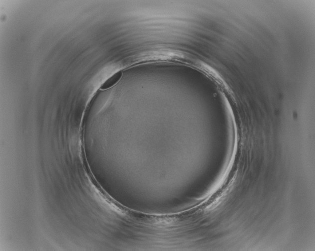 X0000069410802200605192302