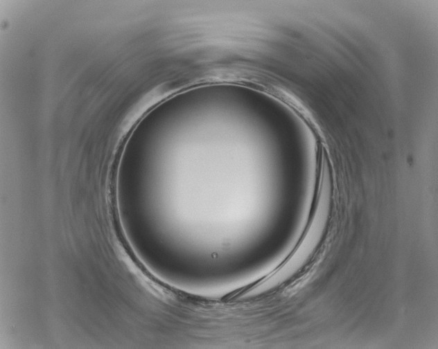 X0000069410803200605192302