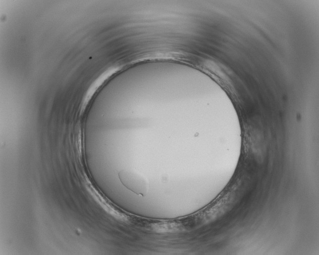 X0000069410804200605192302