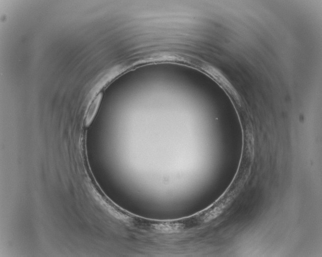 X0000069410805200605192302