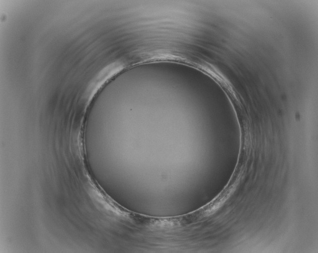 X0000069410806200605192302