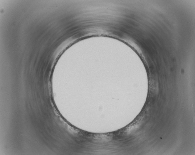 X0000069410807200605192302