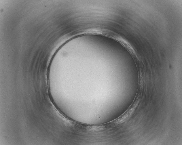 X0000069410808200605192302