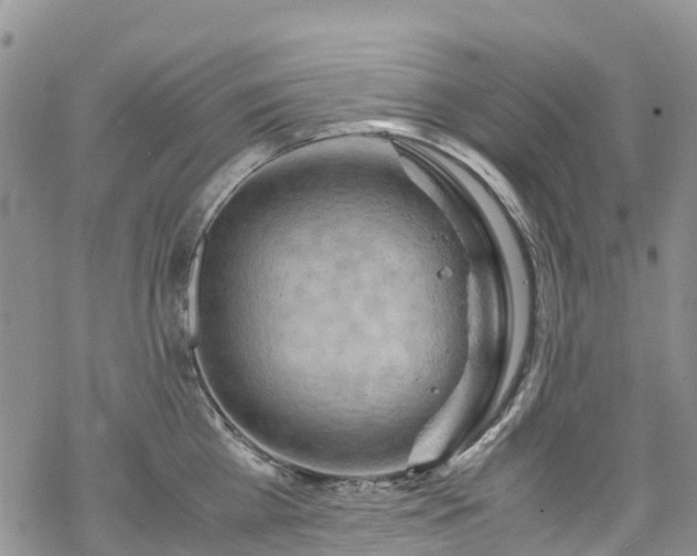 X0000069410809200605192302