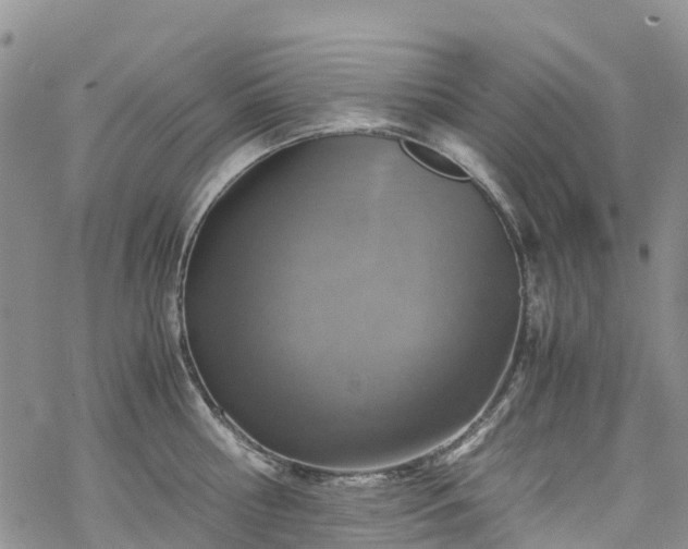 X0000069410810200605192302