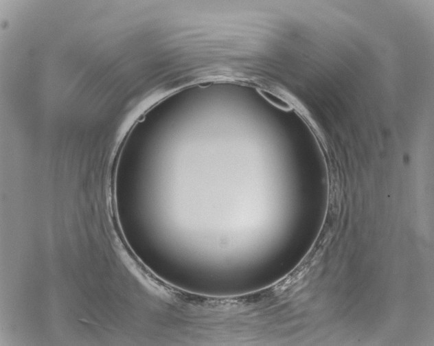 X0000069410811200605192302