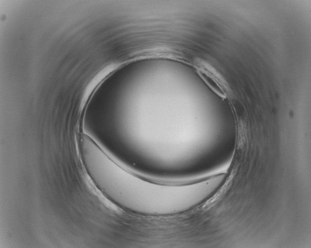 X0000069410812200605192302