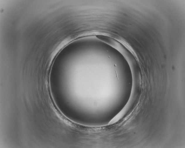 X0000069410813200605192302