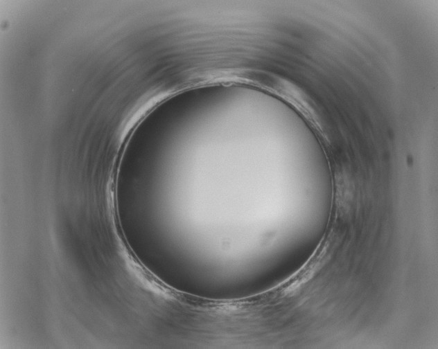 X0000069410814200605192302