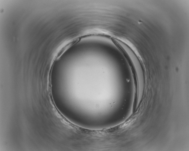 X0000069410815200605192302