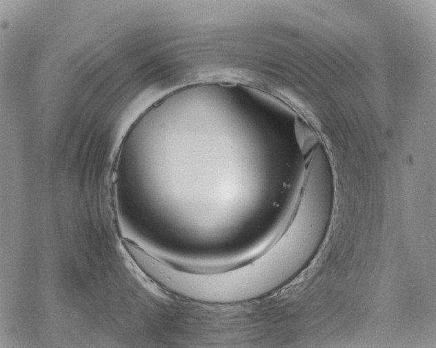 X0000069410816200605192302