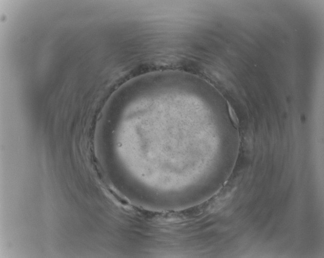 X0000069410817200605192301