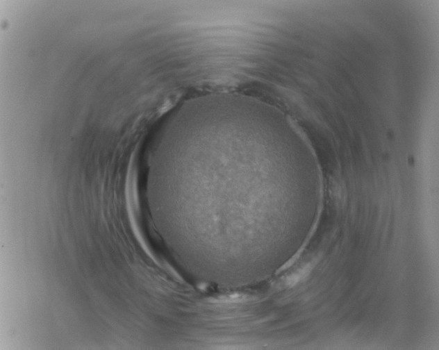 X0000069410818200605192301