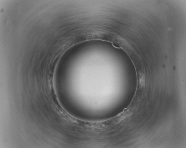 X0000069410819200605192301