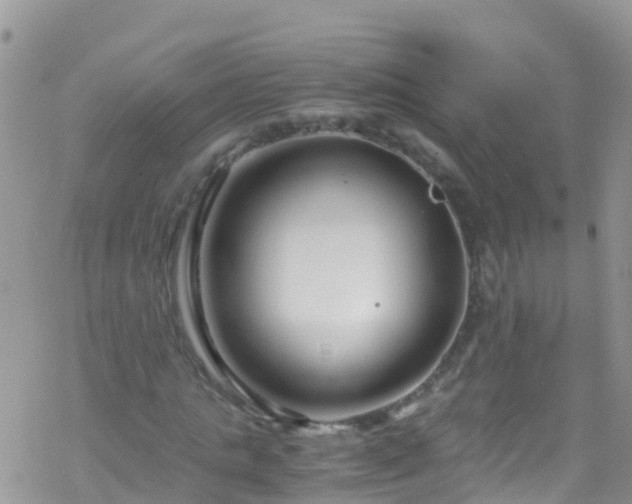 X0000069410821200605192301