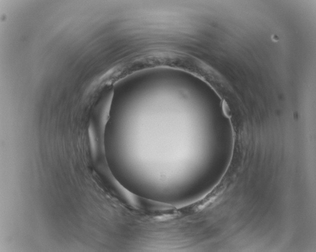 X0000069410822200605192301