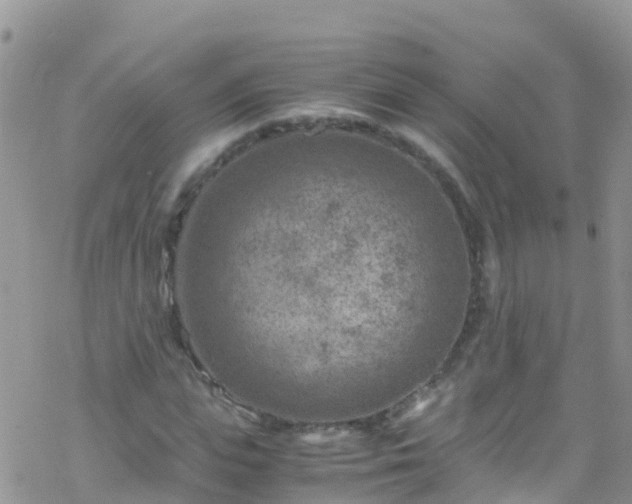 X0000069410823200605192301